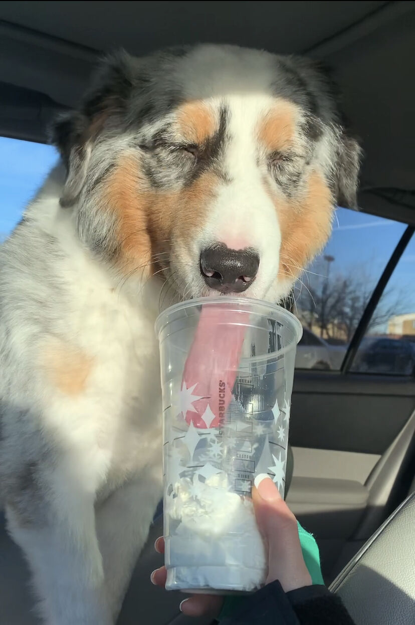 first starbucks.jpg